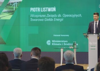 Towarową Giełdę Energii tworzą nie tylko najwięksi producenci OZE, ale także sektor MŚP