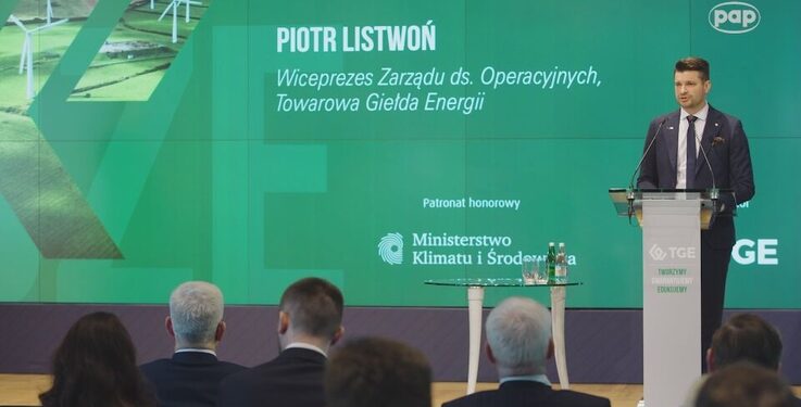 Towarową Giełdę Energii tworzą nie tylko najwięksi producenci OZE, ale także sektor MŚP